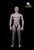 HIT FIGURE 1:6 Muscular Body (Asian Head Sculpt)