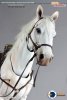 1/6 Scale The White Horse By Asmus Toys 
