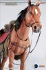 1/6 Scale Brown Horse ASM-CRE002 By Asmus Toys 