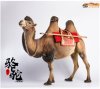 1/6 Bactrian Camel Simulation Animal Model Jxk005 B