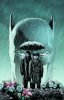 DC Comics Batman Earth One Hard Cover