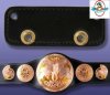 WWE Replica Belt Wall Hanger for WWE Tag Team Belt