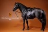1/6 Mr.Z German Hanoverian Horse Set Black MRZ GHH003