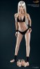 1/6 Scale Asian Female Body Tan Large Breast Seamless PL-LB2013-13