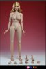 1/6 Caucasian Female Body with Character Head Sculpt PT-HB004 Play Toy