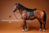 1/6 Mr.Z German Hanoverian Horse Set Brown MRZ GHH002