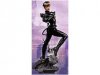 Cover Girls of the DC Universe: Catwoman New 52 Statue by DC Direct