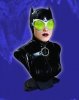 Catwoman 1/2 Scale Bust DC Comics Jukes
