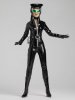 Catwoman Doll by Tonner