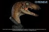 Jurassic Park: 1/1 scale Velociraptor Bust by Toynami