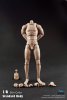 Coo Model 1/6 Standard Male Body with Narrow Shoulders B34002 10.6"