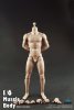 Coo Model 1/6 Scale Muscle Male Body B34004 10.6" Tall Action Figure