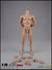 Coo Model 1/6 Scale Figure 2.0 Muscle Male High Body CM-BD004