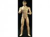 1/6 Scale New 2.0 Muscular Lean Body with Short Beard by CMToys
