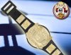 WWE Cruiserweight Champion Belt for Wrestling Figures