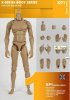 ZC World 1:6 Action Figure Accessories X-Series Body Series Pale