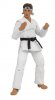 Karate Kid Daniel Larusso 6 inch Figure Icon Heroes
