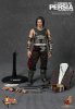 1/6th Scale Prince Dastan Collectible Figure by Hot Toys USED