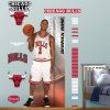 Fathead NBA Derrick Rose (growth chart) Chicago Bulls