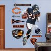 Fathead Devin Hester (wide receiver) Chicago Bears  NFL