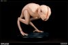 Splice Dren Polystone Statue by Sideshow Collectibles