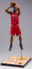 McFarlane NBA Series 30 Dwyane Wade Chicago Bulls Figure