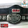 ECW 2008 Version 3D Heavyweight Championship Commemorative Belt 