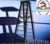 WWE Large 10 Inch Breakaway Black Ladder for Wrestling figures