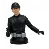 Star Wars Rebel Scum Exclusive Imperial Lt Renz Mini Bust Gentle Giant