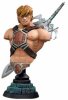 He Man Mega Bust from Masters of the Universe by NECA 