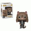 Pop! Harry Potter Series 5 Hermione Granger as Cat #77 Figure Funko