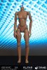  Hispanic Alpha Headless Small Bust Female Figure Body by Triad Toys