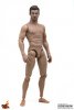 1/6 Scale Truetype Male Body - Muscular (Caucasian) TTM-19 by Hot Toys