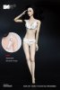 1:6 Figure Accessories Sexy Lace Lingerie Set White HP-001C HotPlus  