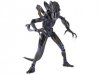Sci-Fi Revoltech #016 Alien Warrior Action Figure Kaiyodo