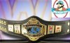 WWE 1986 Heavyweight Title Mini Size Replica Belt