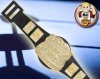 WWE Knock Out Champion Belt for Wrestling Figures