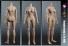1/6 Scale Female Action Figure Version 2.0 L003 Large Breast Play Toy