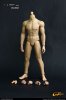 CMTOYS 1/6 Rubber Muscular Body HJ002 Light