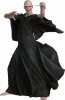 Harry Potter Deathly Hallows Series 2 Lord Voldemort 7"Figure by NECA