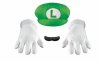 Nintendo Luigi Adult Accessory Kit by Disguise Inc