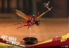 Ant-Man on Flying Ant and the Wasp MMS Compact Series Hot Toys 903663