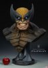 Wolverine Life-Size Bust by Sideshow Collectibles 400144