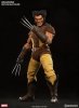 1/6 Marvel X-Men Wolverine Figure by Sideshow Collectibles Used JC