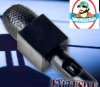 Microphone for Wrestling Figures