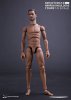 1/6 Action 2.0 Narrow Shoulders Figure Male 01 Dam Dam-MAL01