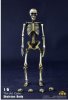 1/6 Skeleton Body Movable BS002 Old Color Coo Model