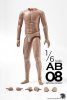 1:6 Scale Figure Muscular Articulate Body AB08 ZC-187 Zc World