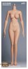 1/6 Scale Third-Generation Female Plump Body EDA-P02 Hot Stuff