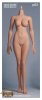 1/6 Scale Third-Generation Female Plump Body EDA-P03 Hot Stuff